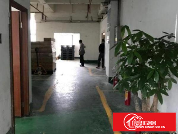 松岗楼岗400平方厂房出租，带装修