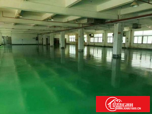 常平高性价比楼上精装修20000平工业厂房