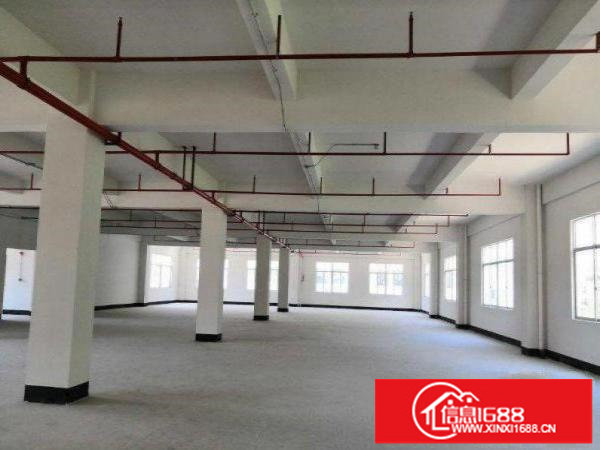 出租龙岗区五联一楼550平方精装办公带电梯