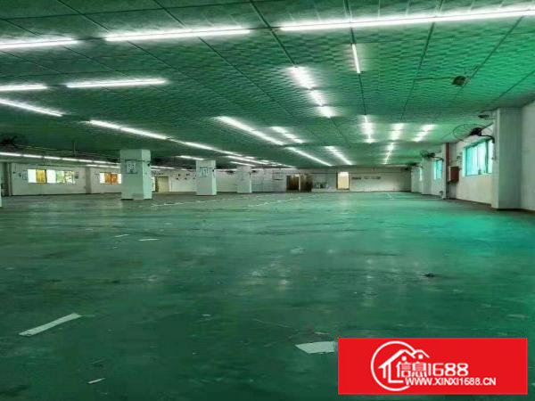 大朗镇独门独院上市公司1万平出租