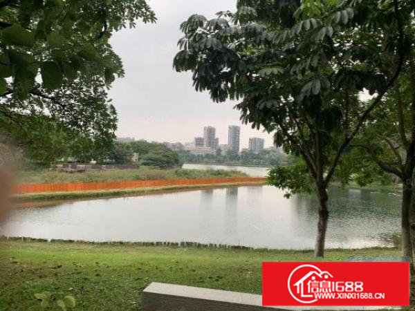 寮步金园科创全新精装带5吨货梯直租