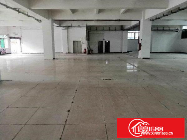 木棉湾地铁站附近大量200平到900平方厂房仓库出租可办环评