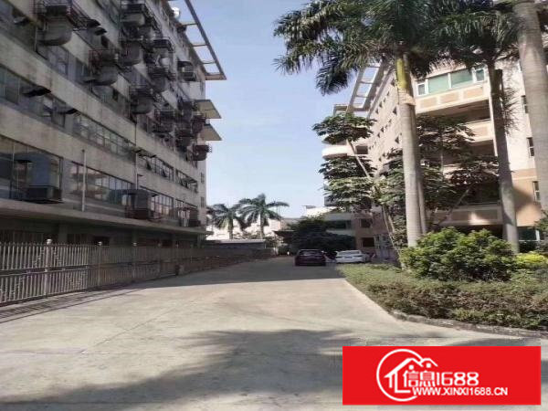 横岗六约厂房出租，无公摊实际面积，大小分租，合同久