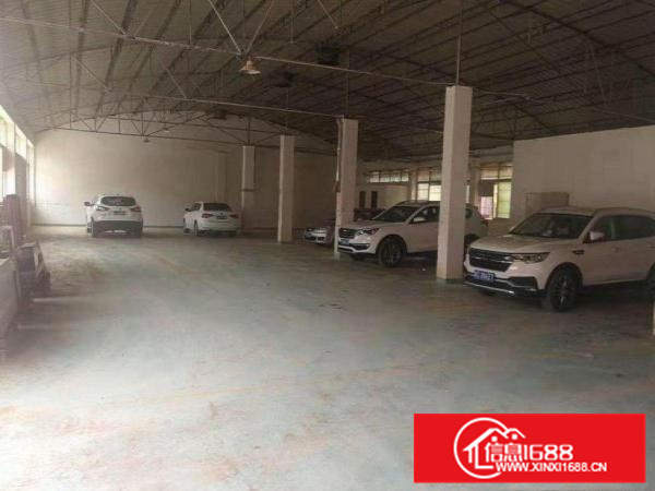 镇隆一楼钢构900与480平米出租可分租