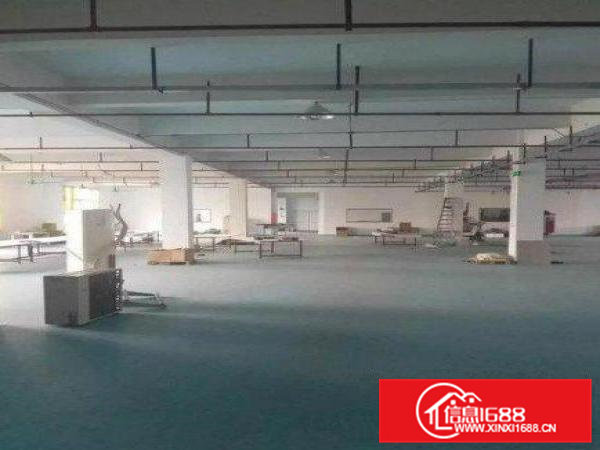 清溪青皇现有一楼厂房1300平方带办公室装修