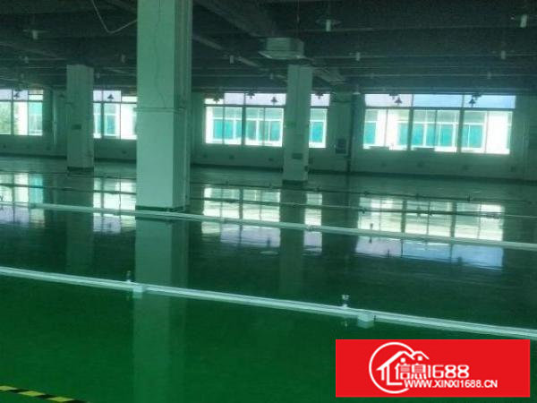 大浪新出2800平方现成无尘车间，水电齐全，拎包入住！