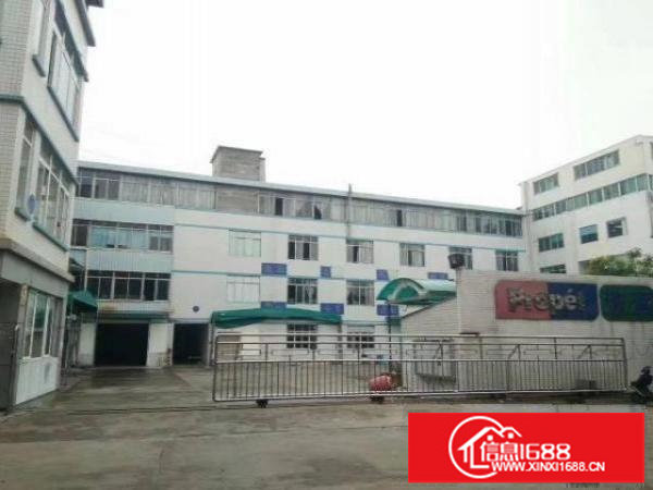 南油服装市场旁1500平办公室仓库出租50元/平