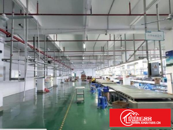 石排福隆二楼带装修厂房300~2300平可分租，可办环评