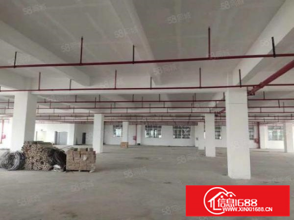 九江镇全新带国土证,带红本,丙二类消防喷淋,可分租易招工厂房