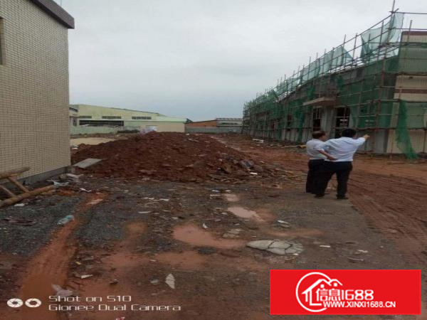 潼侨原房东新建砖墙到顶独院8800平8米钢构