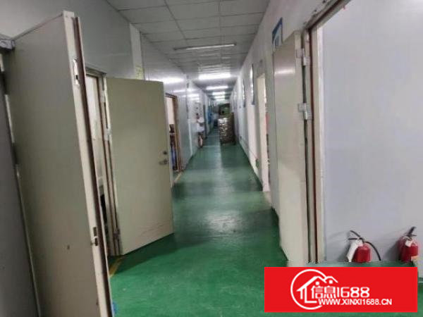 松岗山门红本厂房3楼整层1600平方有丝印牌照