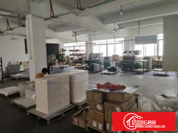 雁田长塘大道靠近平湖