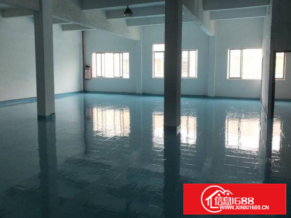 沙头楼上480平方，17元平方