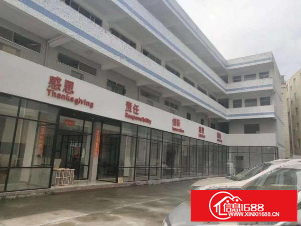 碧岭金碧路边厂房2700平米带前台可分租，办公室精装