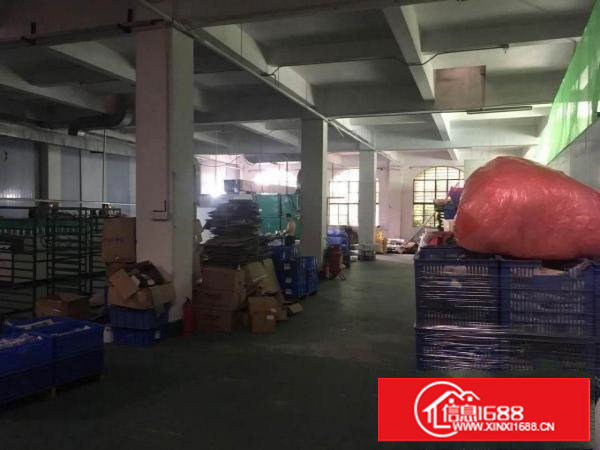 大坪工业园500平方独院一楼厂房，五金设备业