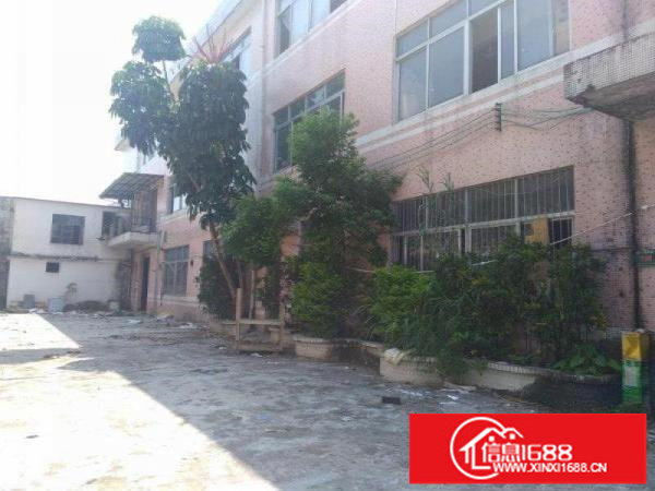 坪山碧岭低价一楼标准厂房270平出租送装修