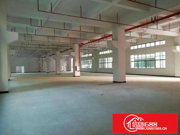 带消防喷淋！空地巨大！平湖富民工业区新出一楼1000平厂房