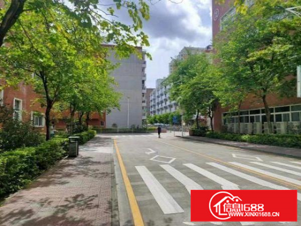 观澜工业区新出单层面积2000平方，大小200平方起分！