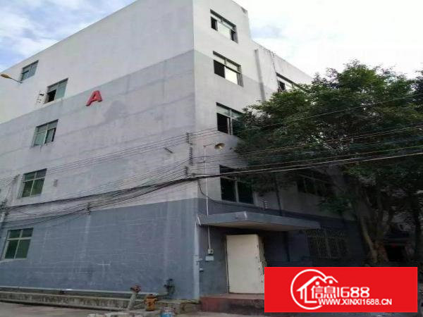 荷坳260500790平米厂房出租单价16元