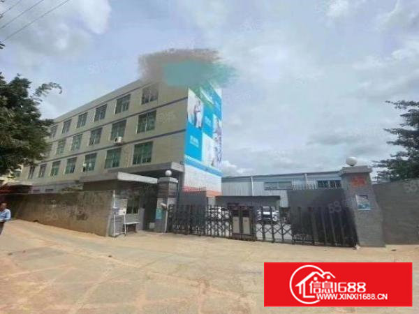 石岩应人石原房东2600平米，单层面积650平，可单层租