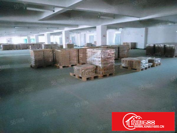 开年钜惠租厂房送精装办公室临松山湖带红本消防合格