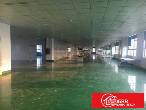 桥头屋厦原房东楼上1500平厂房水电齐全空地大出租