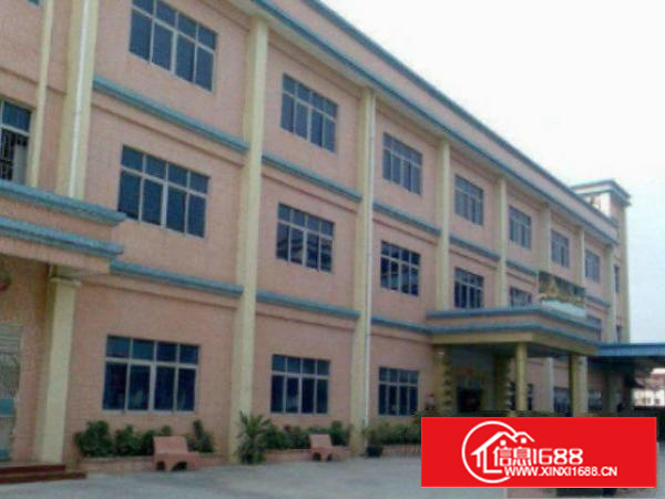 万江标准1-3层厂房4400平方米出租5米高，有绿化