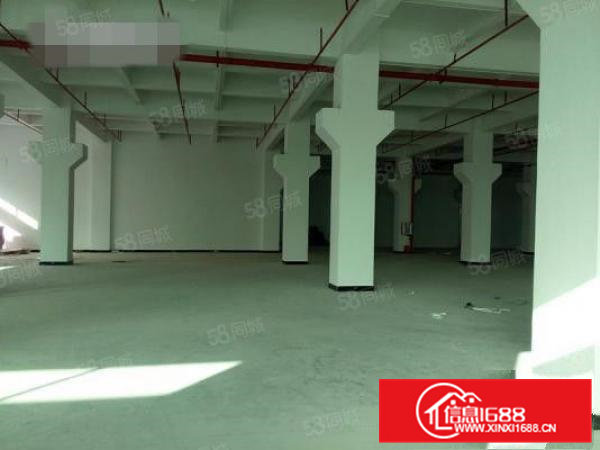 东坑原房东标准厂房分租一楼1200平方出租