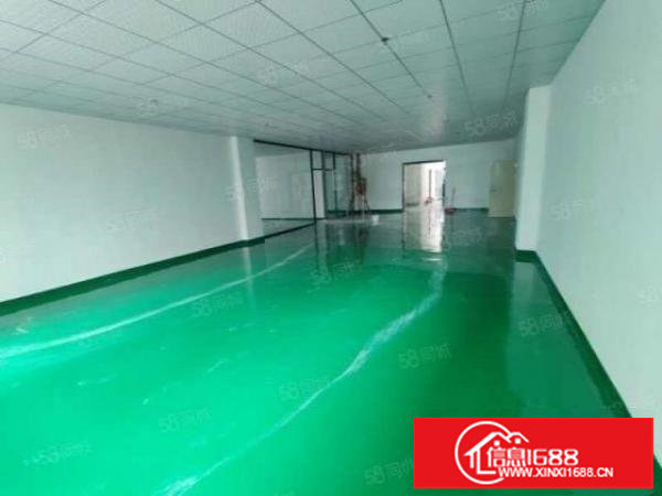 大浪新百丽附近一楼厂房560平和780平，全新精装修，空地大