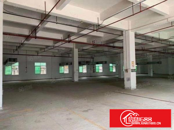 东莞塘厦大坪新出原房东1楼800平米出租，高6米租23元可办