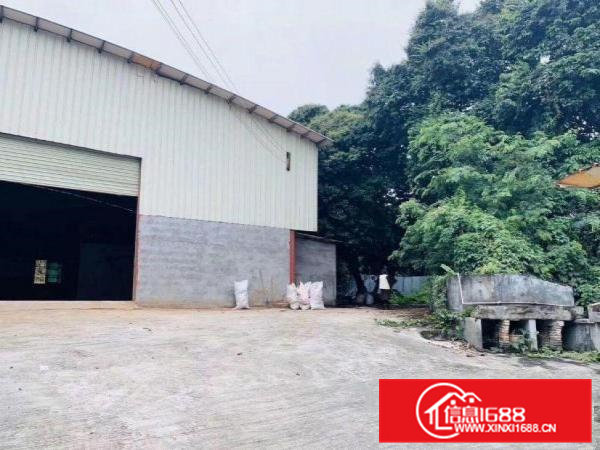 横沥长巷小独院1200平米独院厂房出租！6.5米高