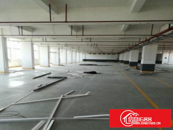 雁田海关旁边原房东三楼800平方精装修