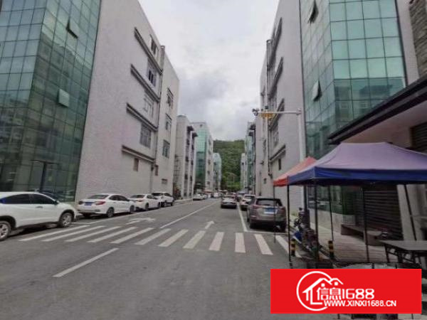 应人石2楼1000平出租，可以分组一半