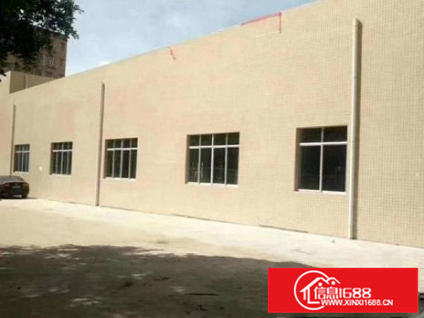 清溪青皇新出经典小独院2200平方，单一层带牛角，高度6米