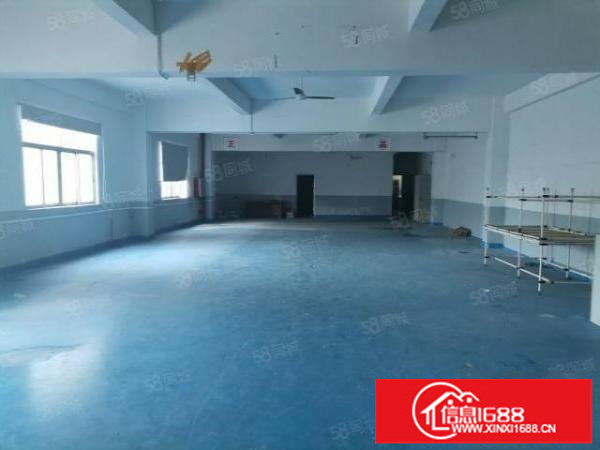 横岗新出原房东750平方精装修厂房出租