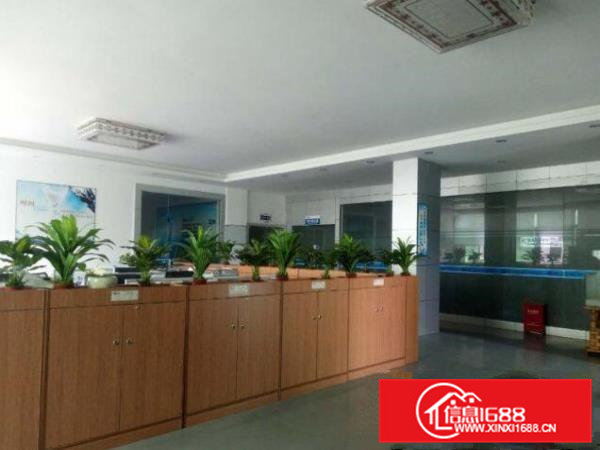 横沥石涌新出独院10000平标准原房东厂房直租