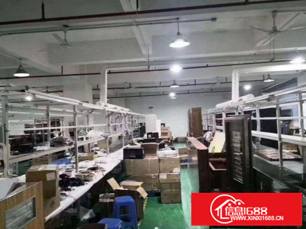 坪山江边村2楼980平现成装修厂房低价出租形象好