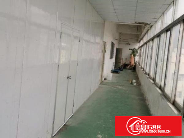 正规工业园标准厂房出租