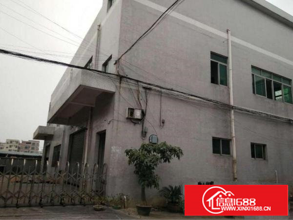 塘厦原房东小独院2700平出租16元