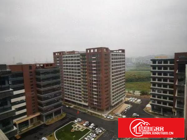 工业聚集地常平镇新建厂房园区空地大环境优美