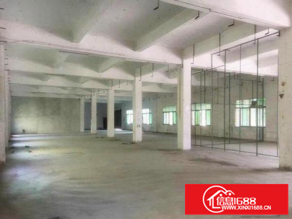 龙岗坪地厂房独门独院5000平环境绿化好生活交通方便