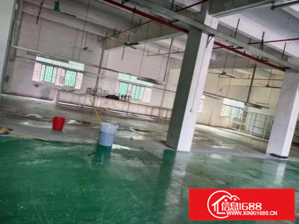 石排镇新出原房东现成装修，水电齐全，价格便宜，可办环坪。