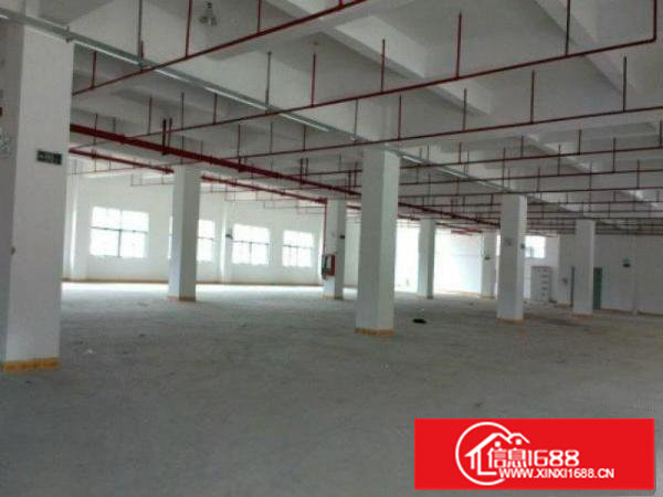 花园式科技园原房东3000平方