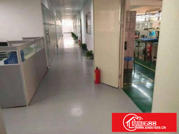 新出一楼、二楼各1000平米厂房出租可分租