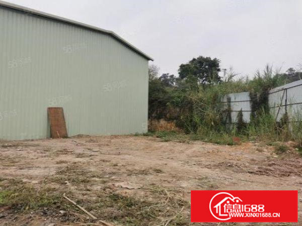 横沥原房东单一厂房出租靠山无居民可做噪音污染粉尘无限制