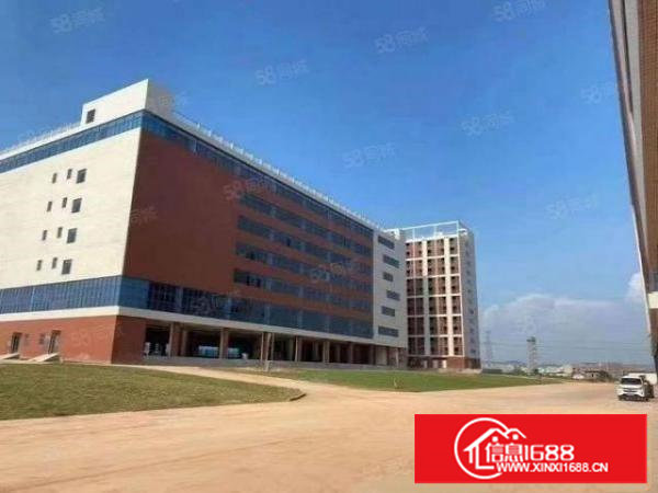 村委厂房，无D来袭！国有证，红本重工业独院厂房12万平直招