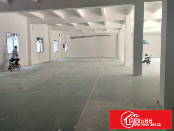 树田现有一楼1150平方精装修办公室水电齐全可办环评交通便利