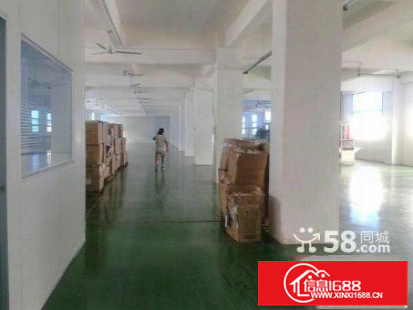 新坪山新区2000平米带精装修厂房可分租