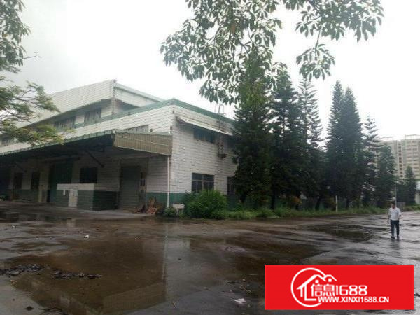 新圩高速出口钢构7000平，高8米出租