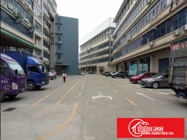 布吉甘坑新出（原房东）2000平厂房6米高带地坪漆消防喷淋